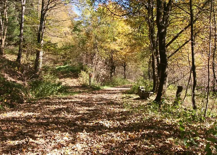 Gnacke Appartement Schmallenberg