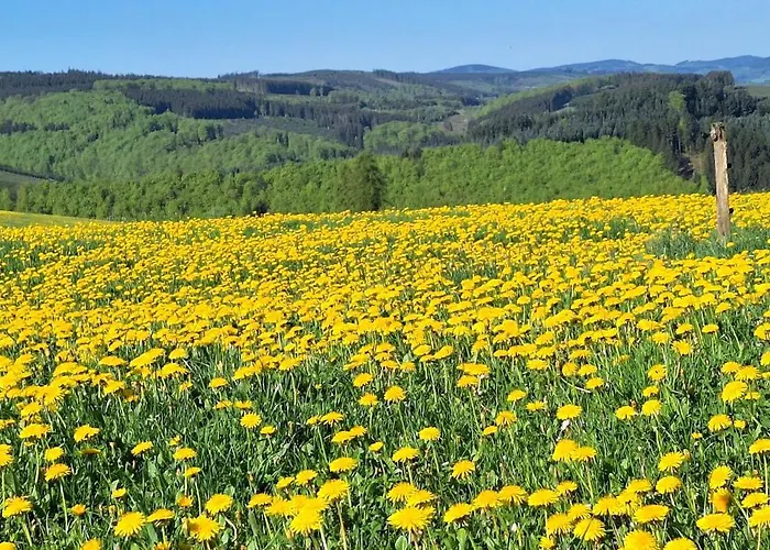 Gnacke דירה שמאלנברג